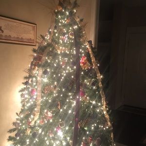 Meet your Posher, Bailey